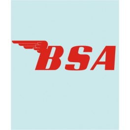 BSA - BS-00004 - 150 X 43 MM.