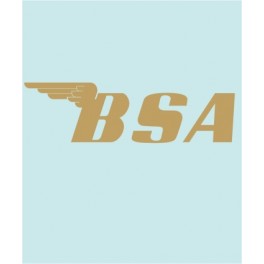 BSA - BS-00003 - 150 X 43 MM.