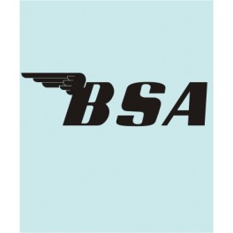 BSA - BS-00001 - 150 X 43 MM.
