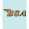 BSA - BS-00008 - 225 X 71 MM.