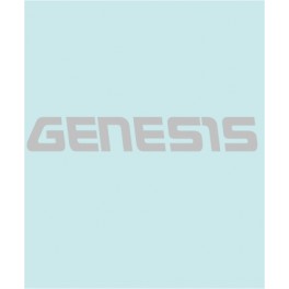 GENESIS - YA-40089 - 188 X 28 MM.