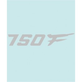 750F - SU-30200 - 190 X 36 MM.