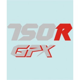 GPX750R - KA-20078 - 245 X 127 MM.