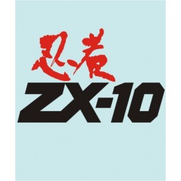 ZX-10 - KA-20262 - 250 X 160 MM.