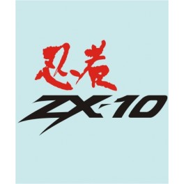 ZX-10 - KA-20264 - 250 X 160 MM.