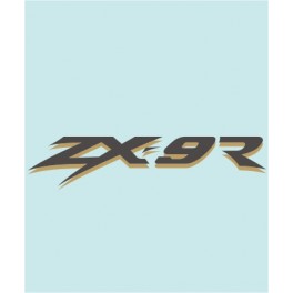 ZX-9R - KA-20100 - 200 X 45 MM.