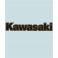 KAWASAKI-OUT - KA-20299 - 231 X 42 MM.
