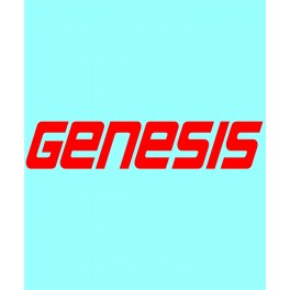 GENESIS - YA-40335 - 146 X 29 MM.